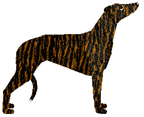 Mockingbird's Cool Undertone — “Minty”