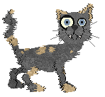 Profile image of Witz/FK’s Compass Points to Chaos