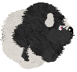 Krunchez/Dh's His Imperial Uncooperativeness — “Cai”