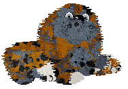 Lex/Mockingbird's Toy Deals — “Santa”