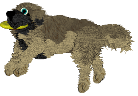 Cirrutopia's Seeds of Anarchy — “Aniseed”