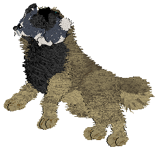 Cirrutopia's Seeds of Anarchy — “Aniseed”