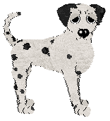 Perfume/Poppyhill's Black Star — “Isidora”