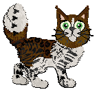 Profile image of Witz/Calluna's Bittersweet Symphony