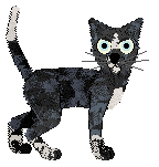 FK/Calluna's Beautiful Day To Save Lives — “McDreamy”