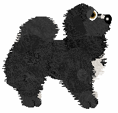 Amenity's Meet Me at Midnight — “Lavender”