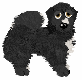 Amenity's Meet Me at Midnight — “Lavender”