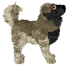 Cirrutopia's Shadows Turn to Truth at Vanilla — “Cyril”