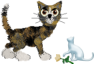 Profile image of EC's Clogged Sinuses