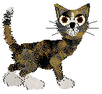 EC's Clogged Sinuses — “Mewcus”