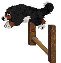 Spellbound's Over the Moon by Midnight — “Marcy”