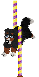 Spellbound's Over the Moon by Midnight — “Marcy”