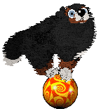 Spellbound's Over the Moon by Midnight — “Marcy”