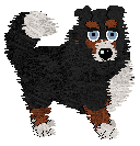 Spellbound's Over the Moon by Midnight — “Marcy”