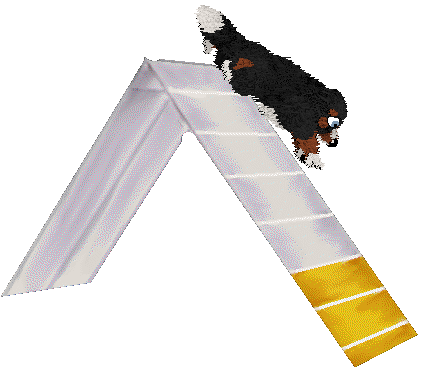 Spellbound's Over the Moon by Midnight — “Marcy”