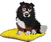 Spellbound's Over the Moon by Midnight — “Marcy”