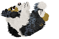 Crystal Rose's Kiss From a Rose — “Rose”