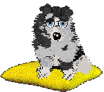 Spellbound's My Girl — “Vada”