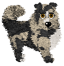 Spellbound's Universally Speaking — “Nolan”