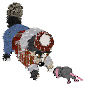 Spellbound's Universally Speaking — “Nolan”