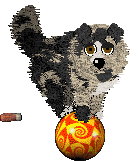 Spellbound's Universally Speaking — “Nolan”