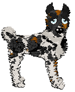 Profile image of Poppyhill's Patagonian Steppes