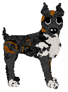 Poppyhill's American Graffiti — “Brimstone”