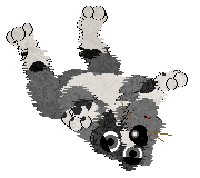 Poppyhill's A Matter of Traces — “Herbert”