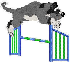 Poppyhill's A Matter of Traces — “Herbert”