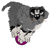 Poppyhill's A Matter of Traces — “Herbert”