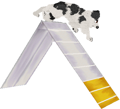 Come Bye's Cosmic Velocity — “Cyn”