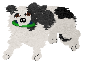 Come Bye's Cosmic Velocity — “Cyn”