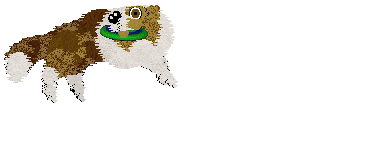 Spellbound's Coffee Stains — “Dunkin”