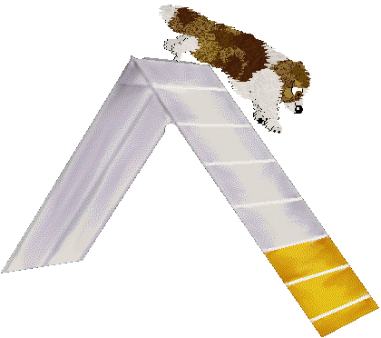 Spellbound's Coffee Stains — “Dunkin”