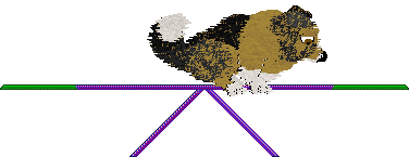 Spellbound's Pinch of Pepper — “Pepper”