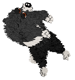 Spellbound's Purple Viking — “Tater”