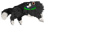 Spellbound's Purple Viking — “Tater”