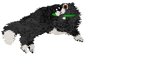 Spellbound's Purple Viking — “Tater”