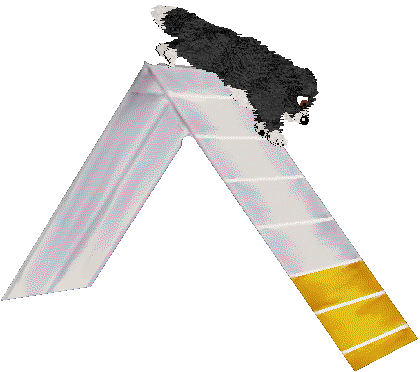 Spellbound's Purple Viking — “Tater”