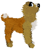 Sungraze Draco Meteor — “Goochomp”