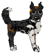 Poppyhill's November Rain at Ephemera — “Noyvi”