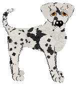 FDL's In Stereo Sound at Ephemera — “Stereo”