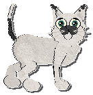 Profile image of Witz Straight Spike