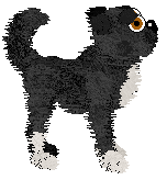 Witz's Demon Stronghold — “Barubary”