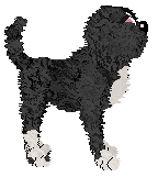 Witz's Demonic Possession — “Aruhameru”