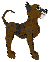 Profile image of Tangle's Eastern Sweetshrub