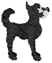 CatCreature's Invisibility Cloak — “Cloak”