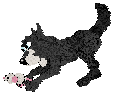 CatCreature's Invisibility Cloak — “Cloak”