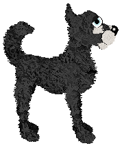 CatCreature's Invisibility Cloak — “Cloak”