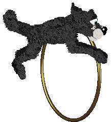 CatCreature's Invisibility Cloak — “Cloak”